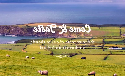 A Taste of Ireland