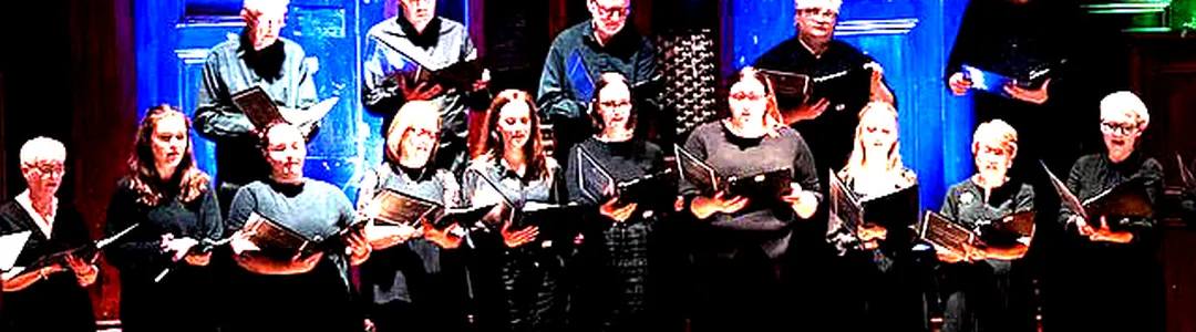 The Renaissance Orchestra