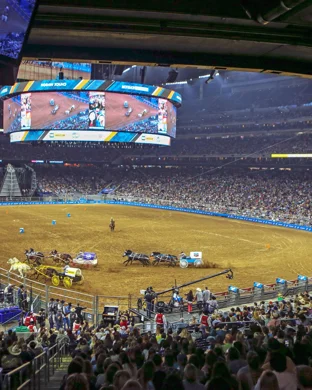 Oxford Open Black Rodeo
