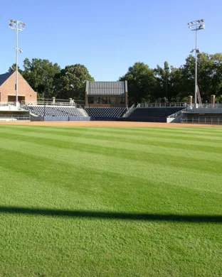 The Phil Collins Experience - Tribute