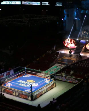 Micro Wrestling Federation